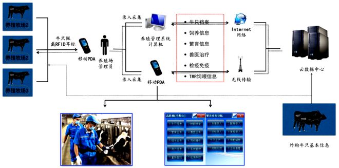 喜訊！中恒國科榮獲中國動物疫病預(yù)防控制中心耳標生產(chǎn)廠商認定，助推網(wǎng)絡(luò)信息技術(shù)推廣服務(wù)