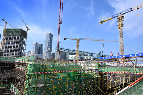 青島國際郵輪港區(qū)加速建設(shè)，企業(yè)總部管理黃金期按下快進鍵